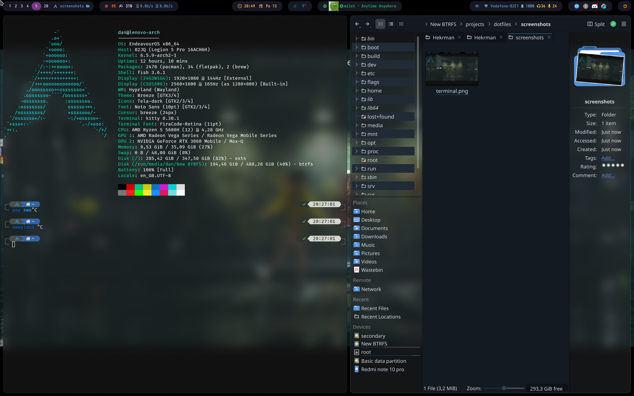 Screenshot of dolphin